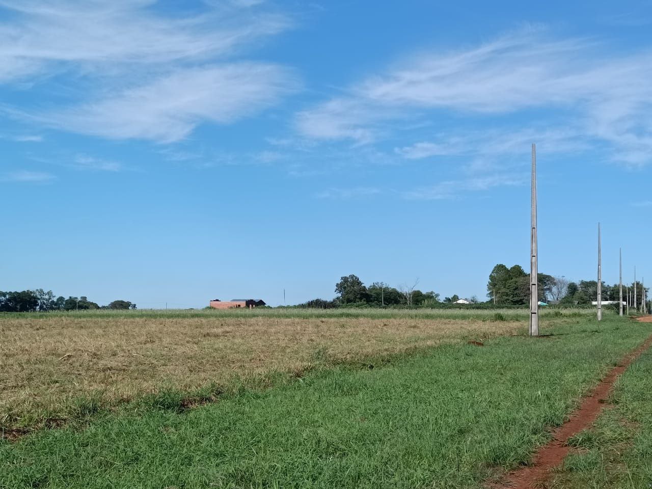 2025-08-20-00.01.31