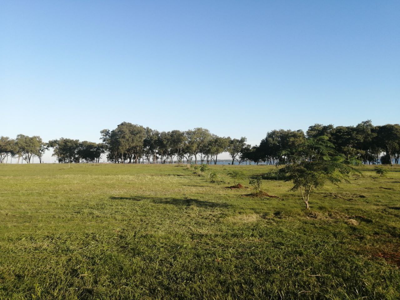2025-08-20-00.03.45